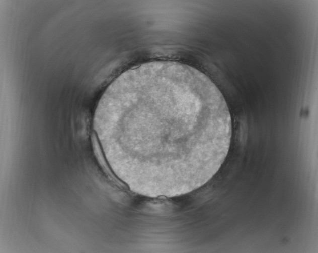 X0000111860712200909031751