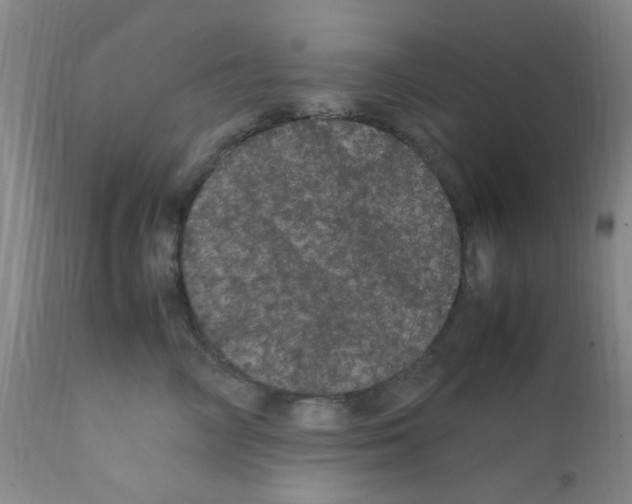 X0000111860714200909031751