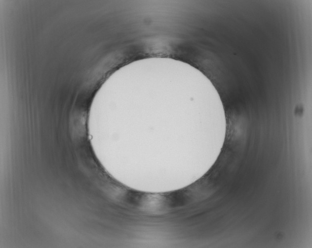 X0000111860717200909031751