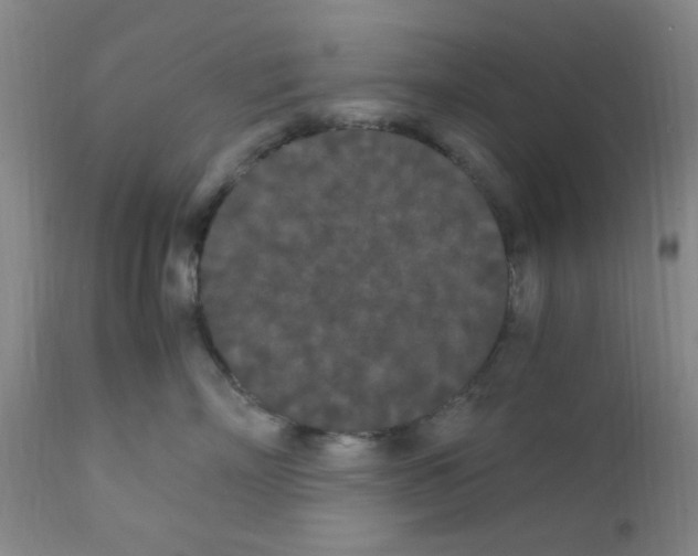 X0000111860718200909031751