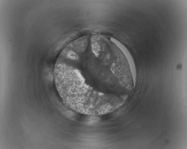X0000111860719200909031751
