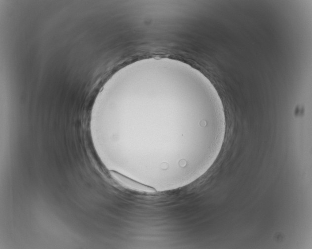 X0000111860720200909031751