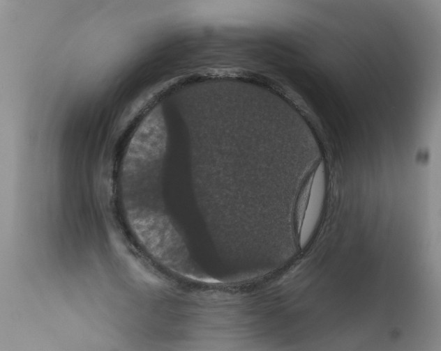 X0000111860722200909031750