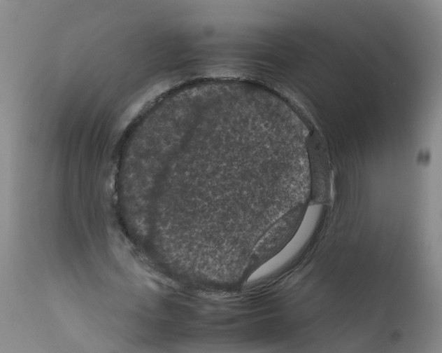 X0000111860723200909031750