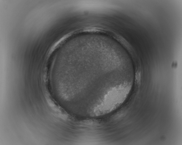 X0000111860724200909031750