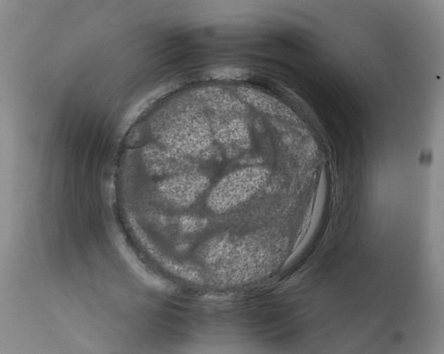 X0000111860725200909031750
