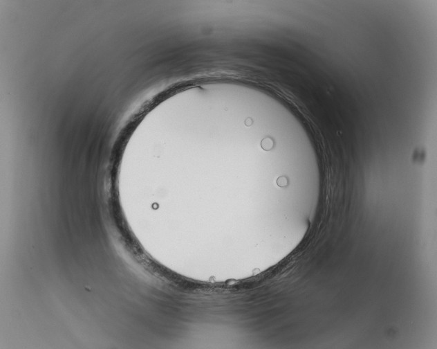 X0000111860726200909031750