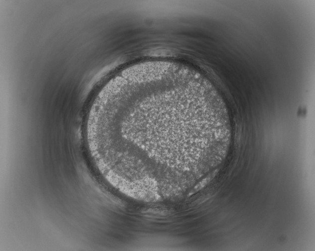X0000111860727200909031750