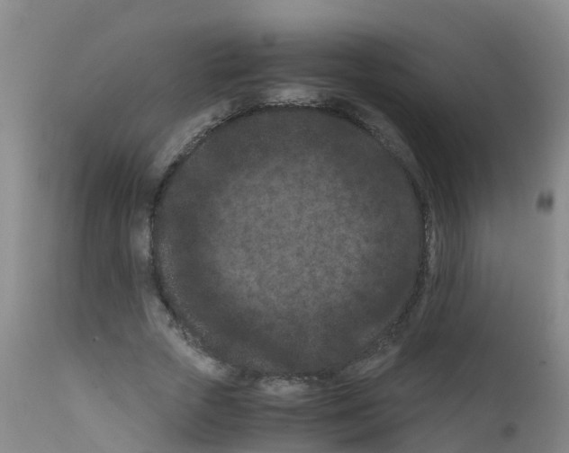 X0000111860729200909031750
