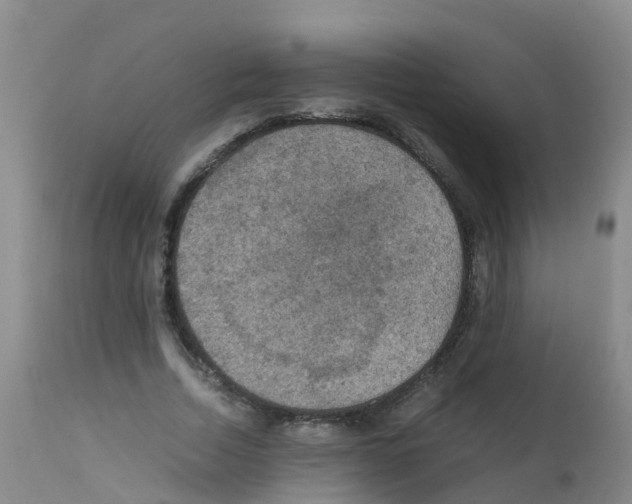 X0000111860730200909031750