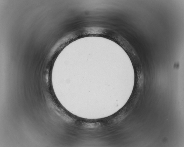 X0000111860731200909031750