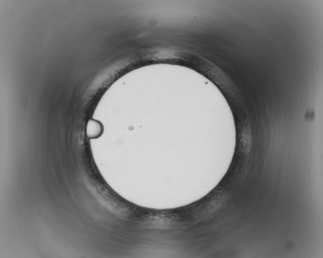 X0000111860732200909031750