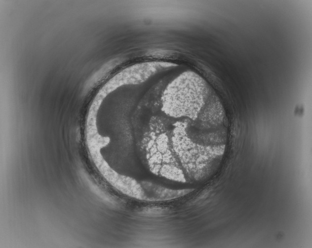 X0000111860734200909031750