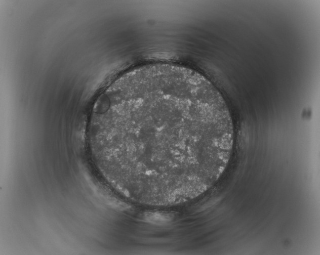 X0000111860739200909031750