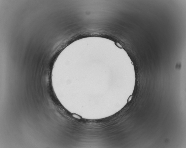 X0000111860740200909031750