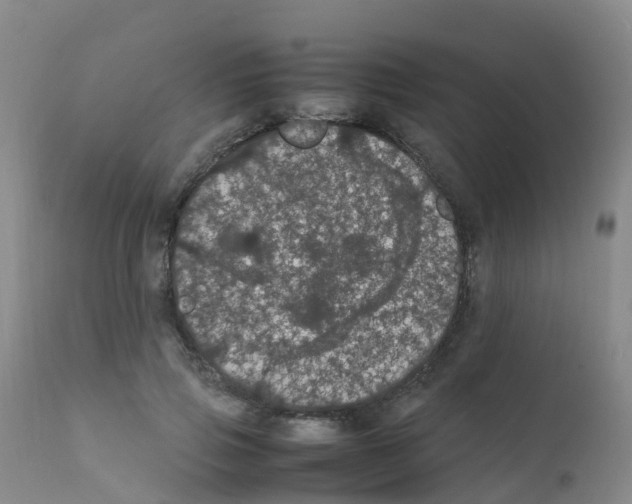X0000111860741200909031750
