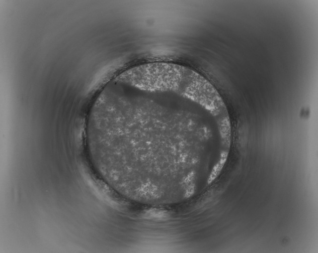 X0000111860742200909031750