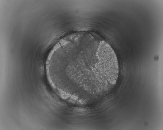 X0000111860743200909031750