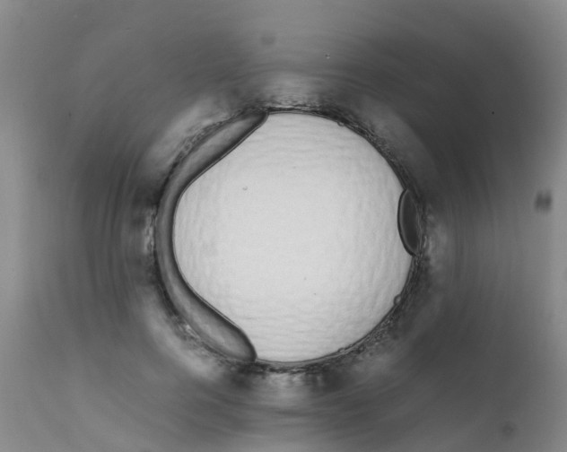 X0000111860744200909031750