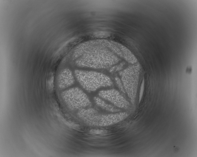 X0000111860745200909031750