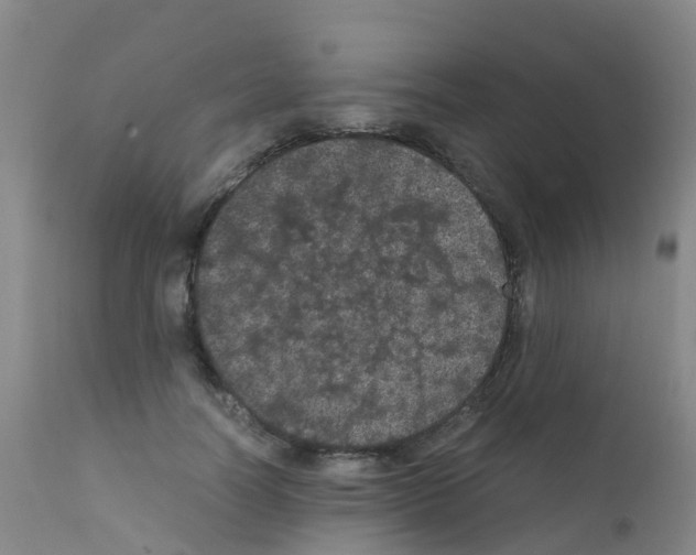X0000111860746200909031750