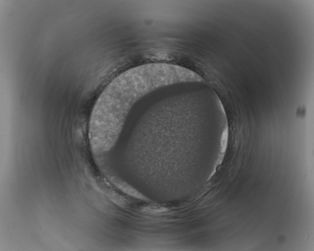 X0000111860747200909031750