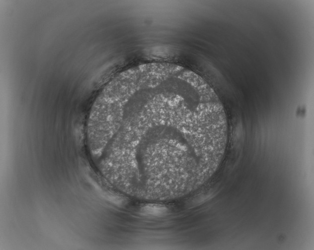 X0000111860749200909031750