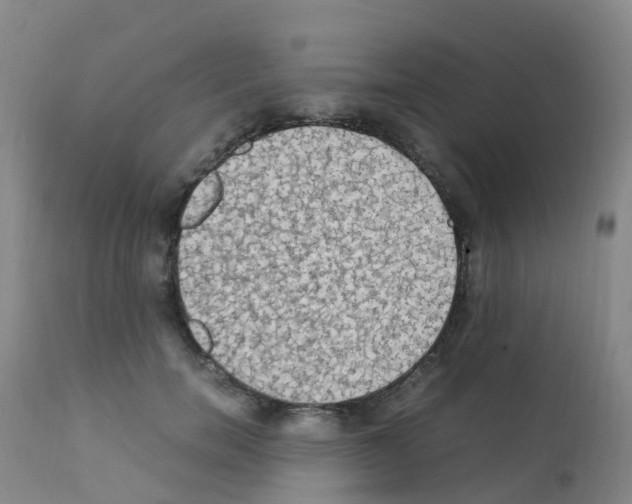 X0000111860750200909031750