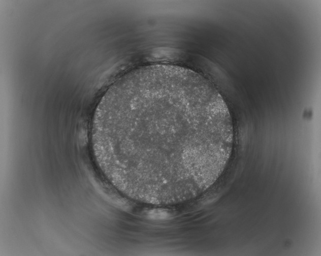 X0000111860751200909031751