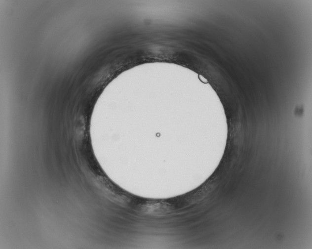 X0000111860752200909031751