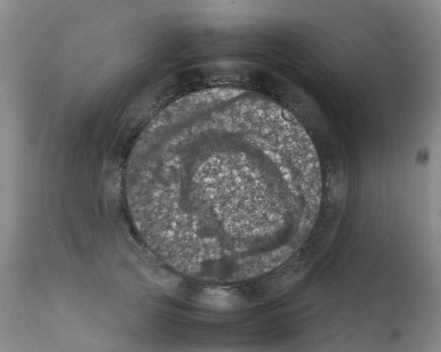 X0000111860753200909031751