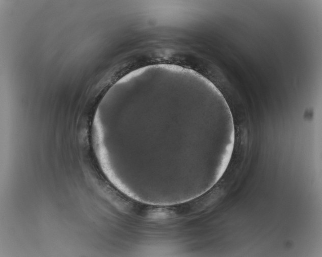 X0000111860754200909031751