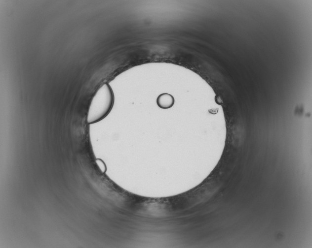 X0000111860756200909031751