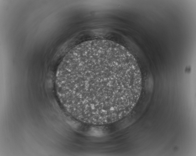 X0000111860757200909031751
