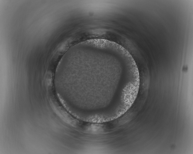 X0000111860758200909031751