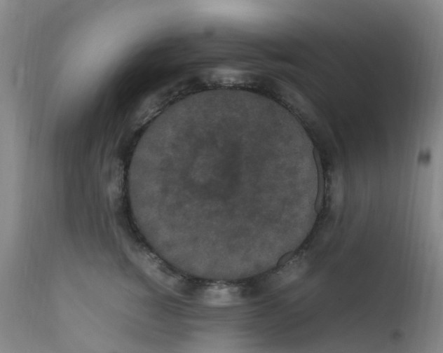 X0000111860760200909031751