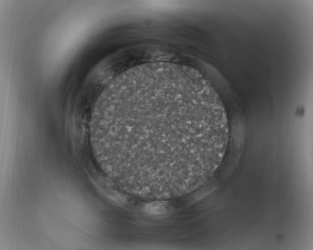 X0000111860761200909031751