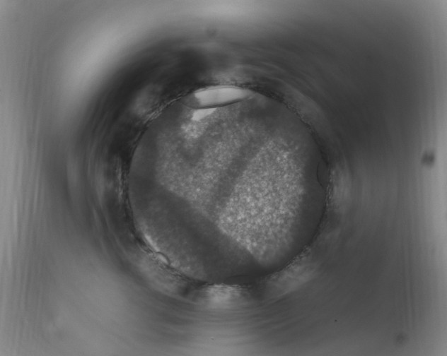 X0000111860762200909031751