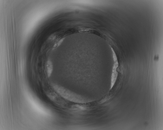 X0000111860763200909031751