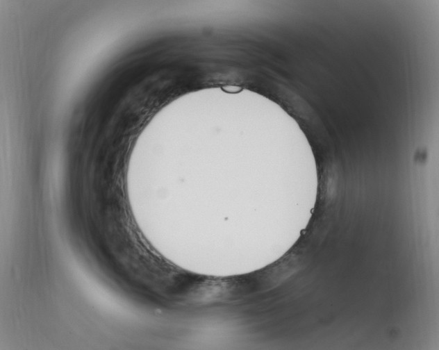 X0000111860764200909031751