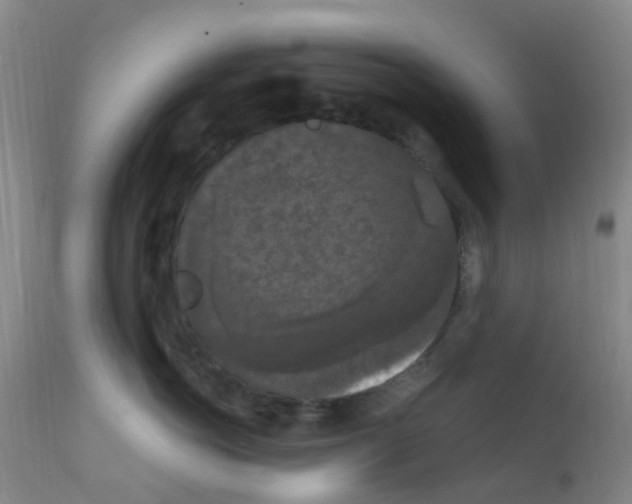 X0000111860766200909031751