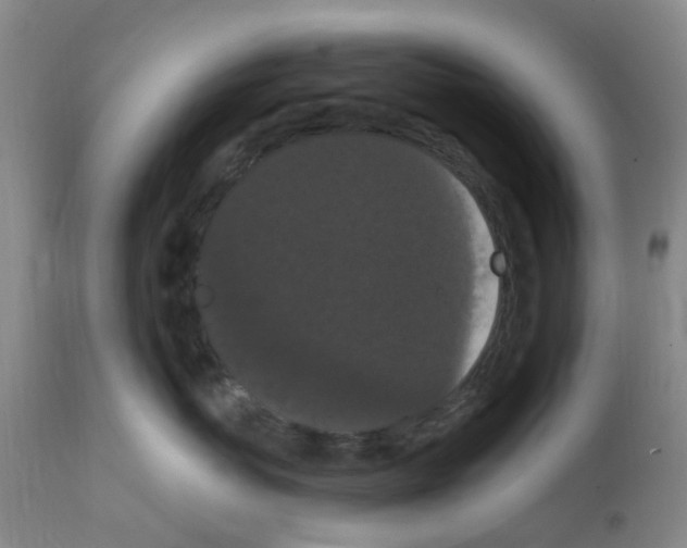 X0000111860767200909031751