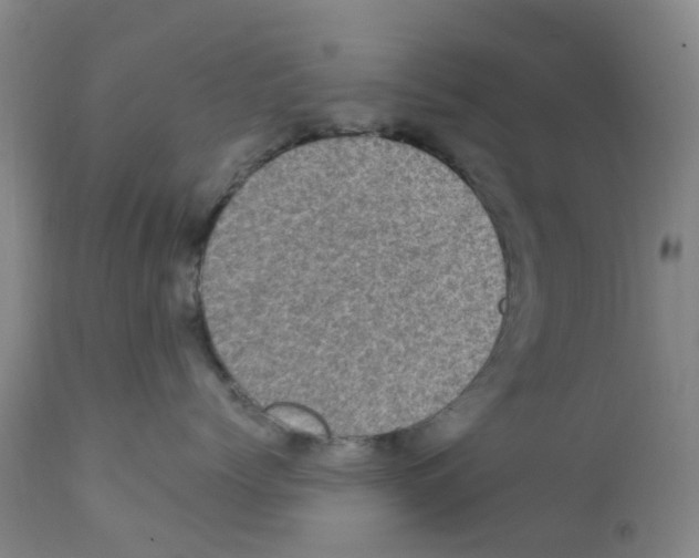 X0000111860768200909031751