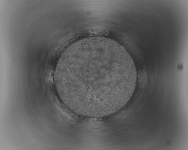 X0000111860770200909031750