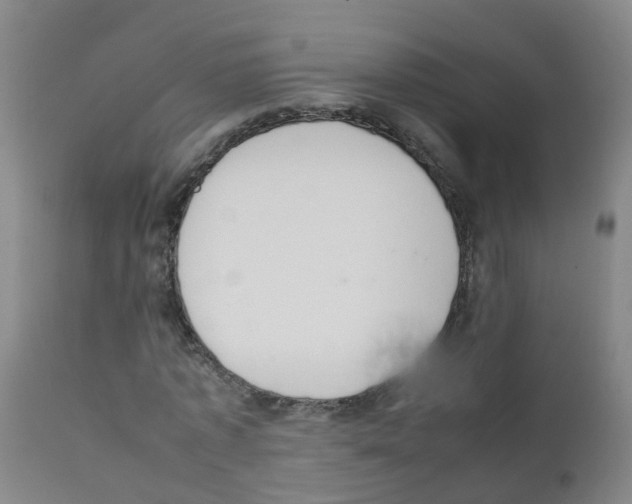 X0000111860773200909031750