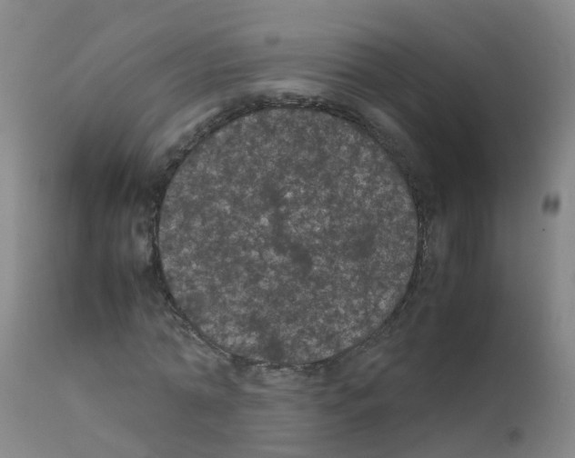 X0000111860774200909031750