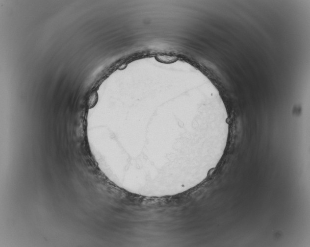X0000111860776200909031750