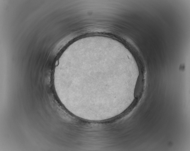 X0000111860777200909031750