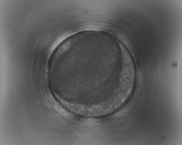 X0000111860779200909031750
