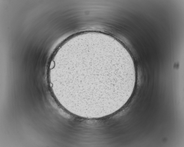 X0000111860780200909031750